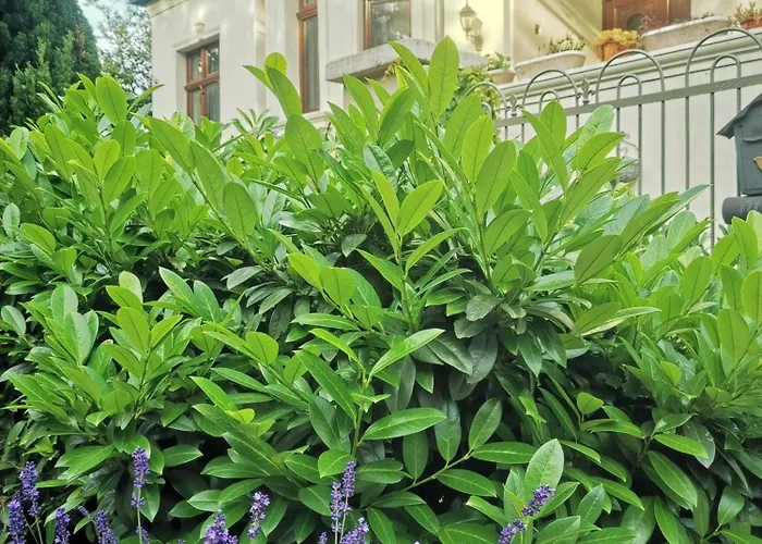 Kuria Private Wellness *